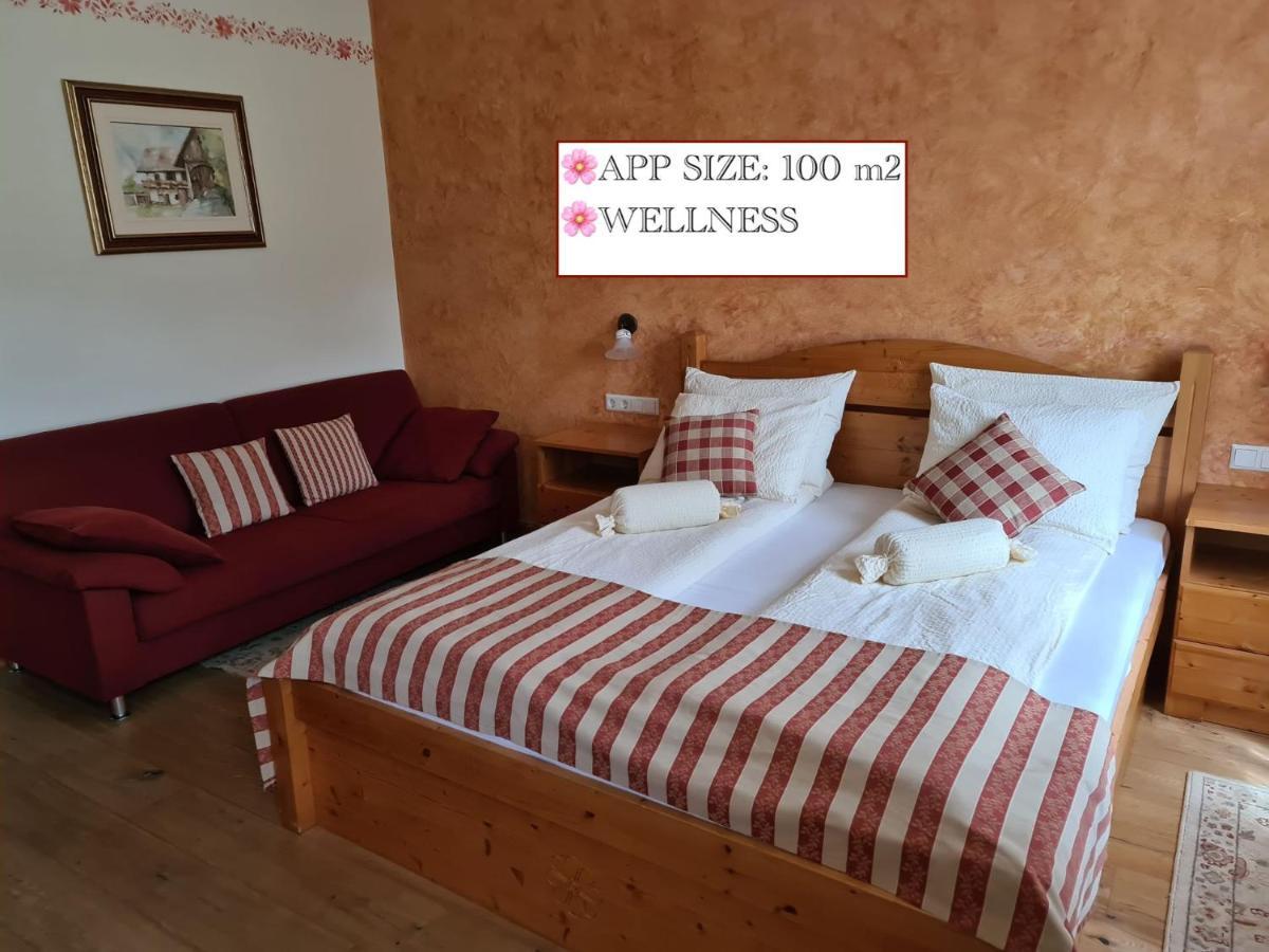 Apartmaji Sitar Ribnica na Pohorju Luaran gambar